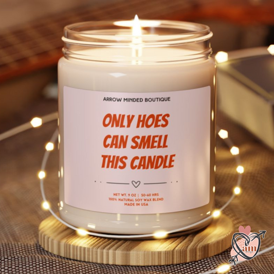 Candle Only Hoes Can Smell This Candle, Funny Candle, Friend Gift